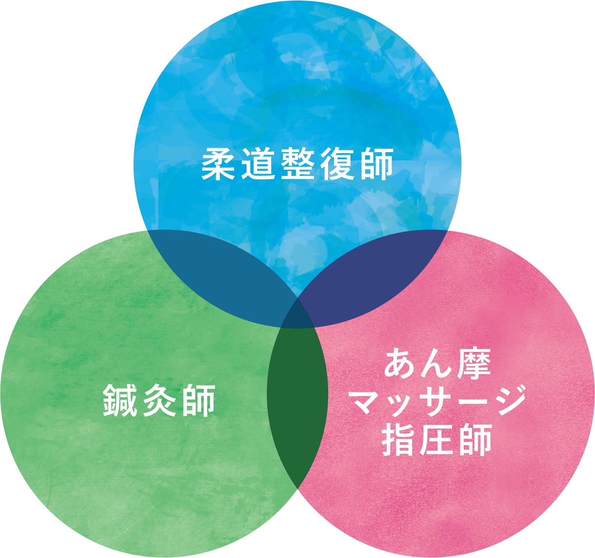 柔道整復師・鍼灸師・あん摩マッサージ指圧師